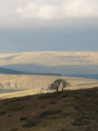Sun over the Pennines from Dale's Way