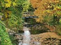 Regents Park, London in autumn