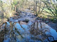 Newlands Valley, Lake District - reflections