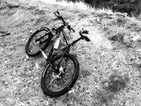 Weekend Rider